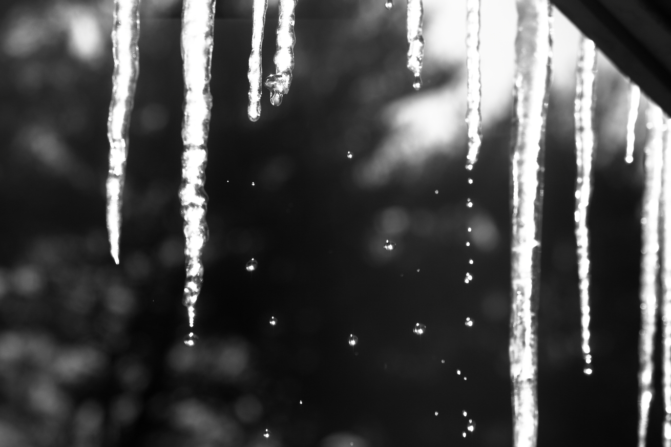 2015 01 29 HTP 000021732ebw